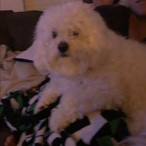 Meet your Posher, Raymond